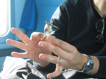 080404_hands3