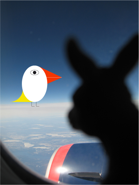 0805asinona bird.pdf