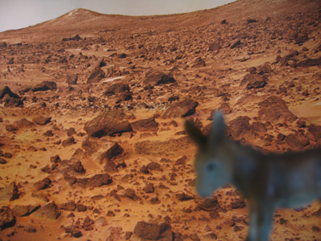 080508_mars